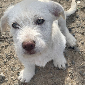 Meet your Posher, Jacob